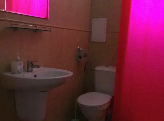 Sofia In Sunny Apartamento *